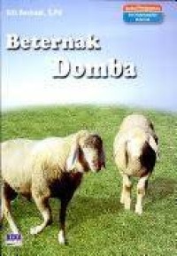 Beternak domba