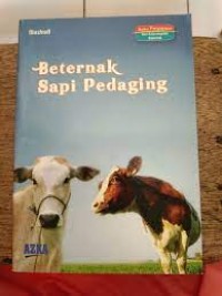 Beternak Sapi Pedaging