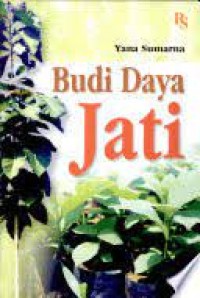 Budi daya jati