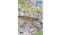 Budi daya udang gala