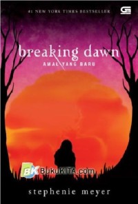 Image of Breaking Dawn (awal yabg baru)